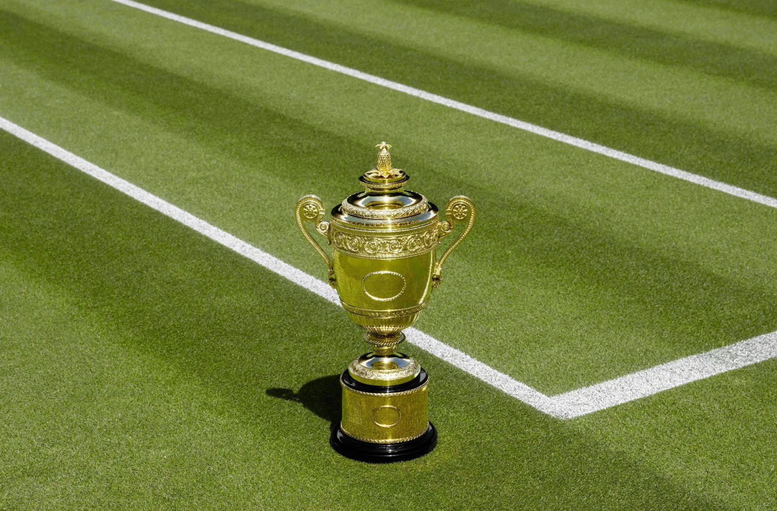Sinner Defends Wimbledon