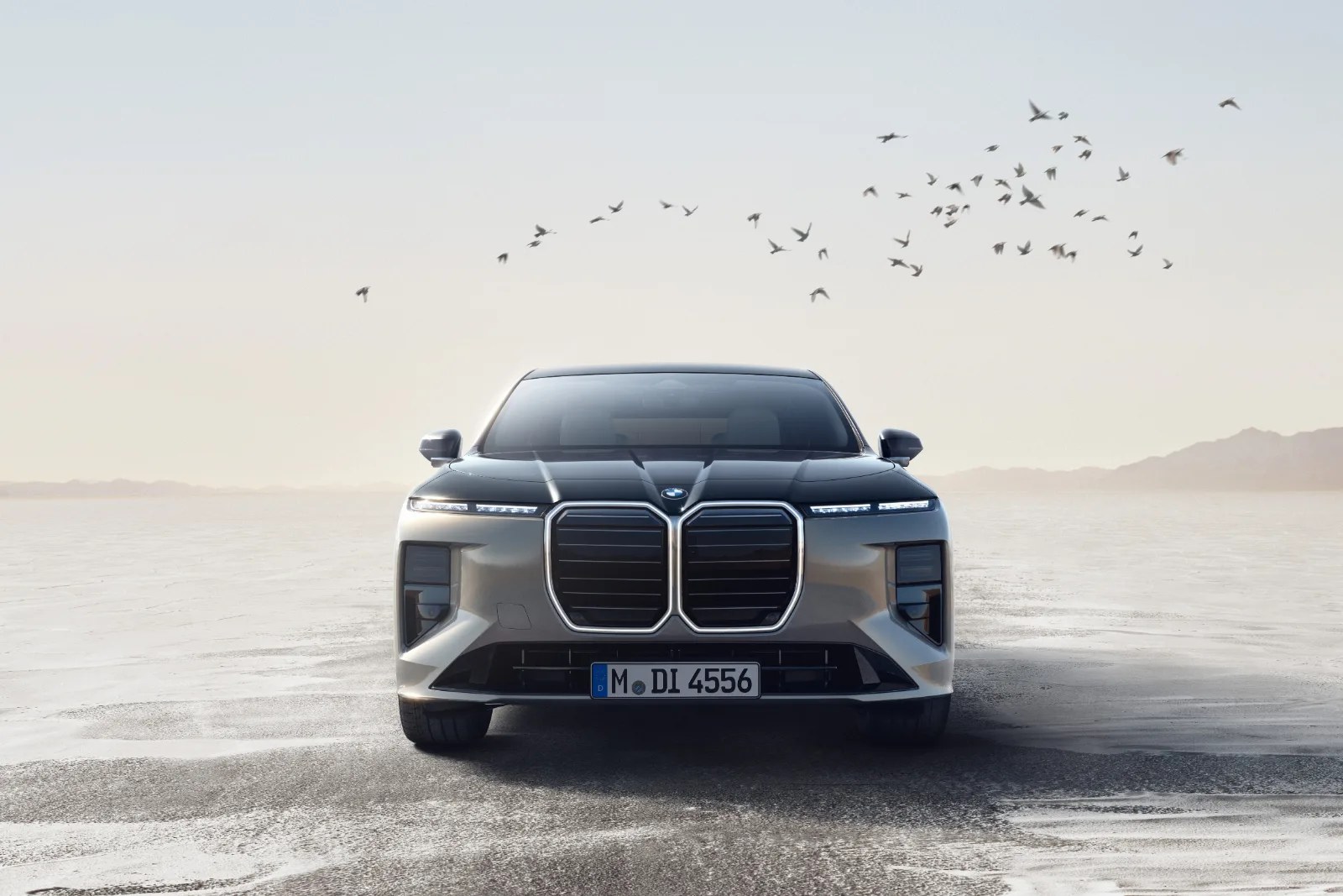 BMW Sees European Electric Growth Amid a Challenging Global Picture