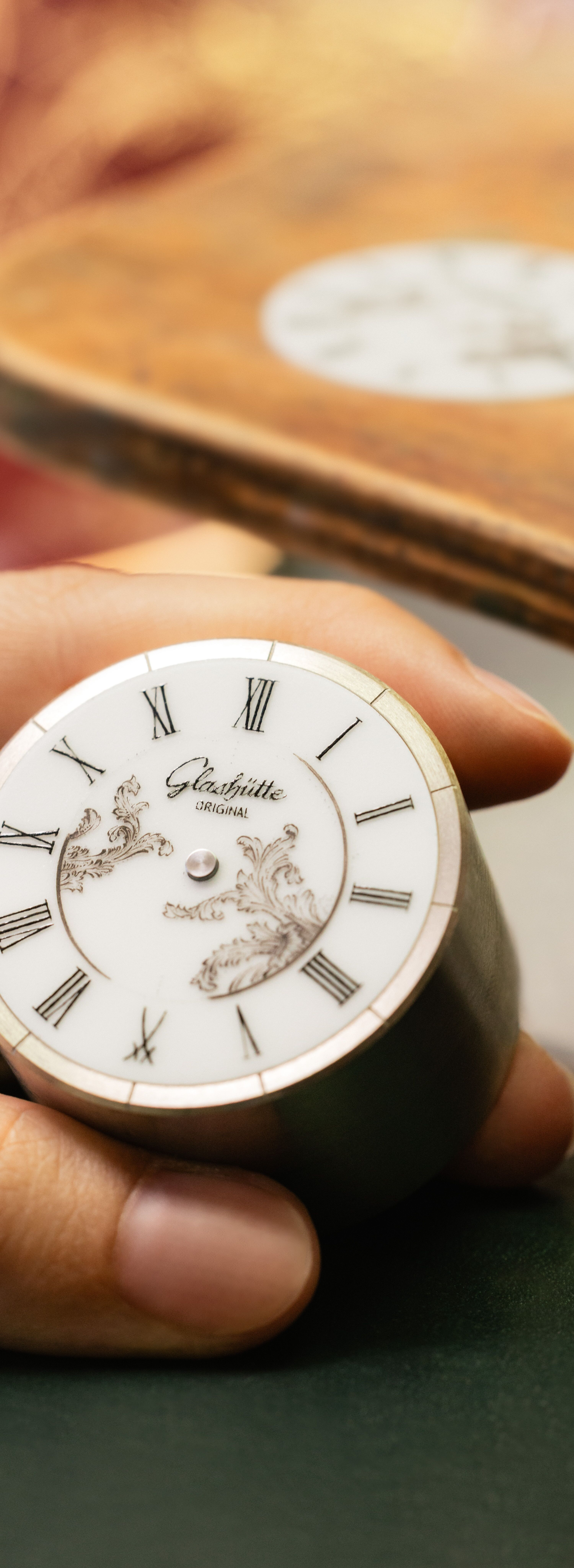 Measured Beauty: The Senator Meissen in White and Celadon