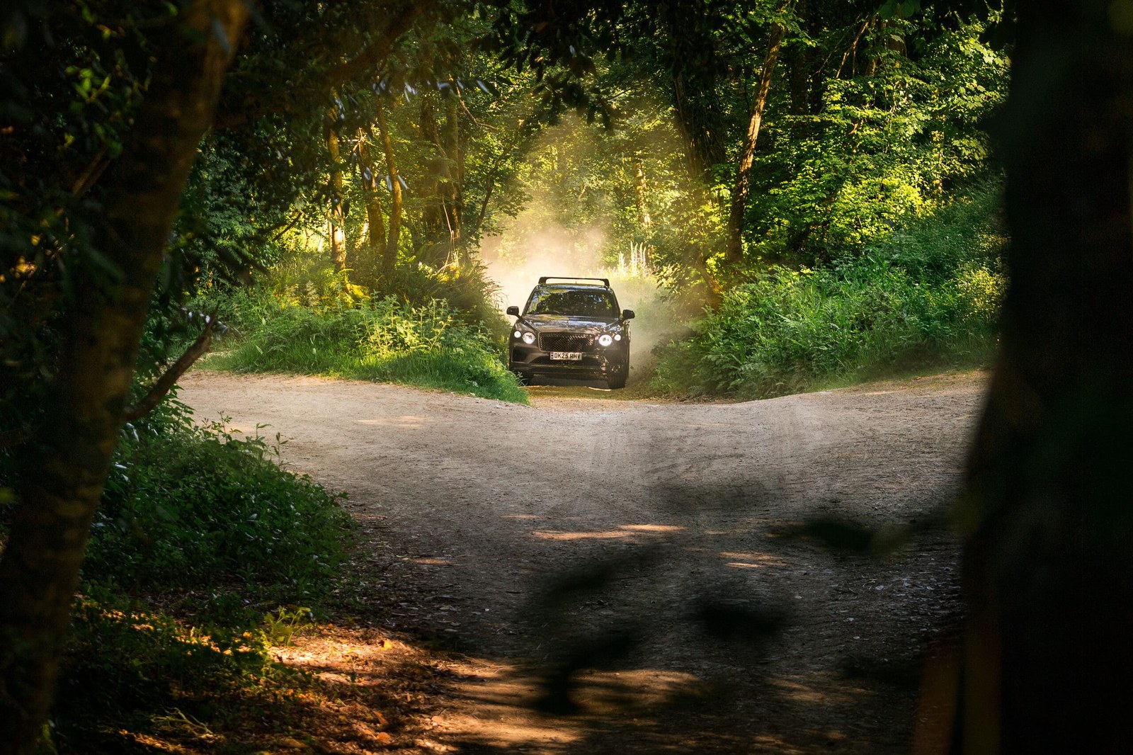 Mud, paws and Mulliner: Bentley’s catering to man’s best friend