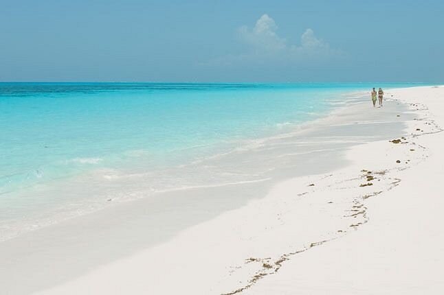 Dive Into a World of Jaw-Dropping Scenery