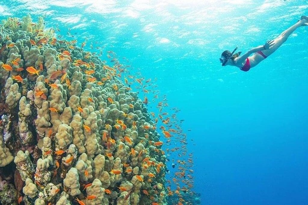 Dive Into a World of Jaw-Dropping Scenery